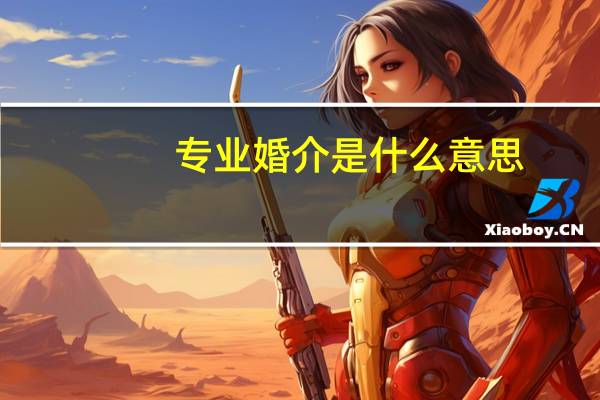 专业婚介是什么意思