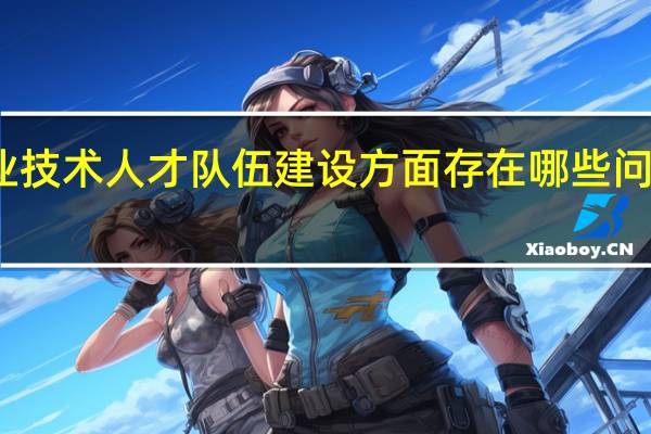 专业技术人才队伍建设方面存在哪些问题和困难