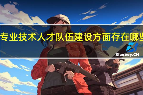 专业技术人才队伍建设方面存在哪些问题