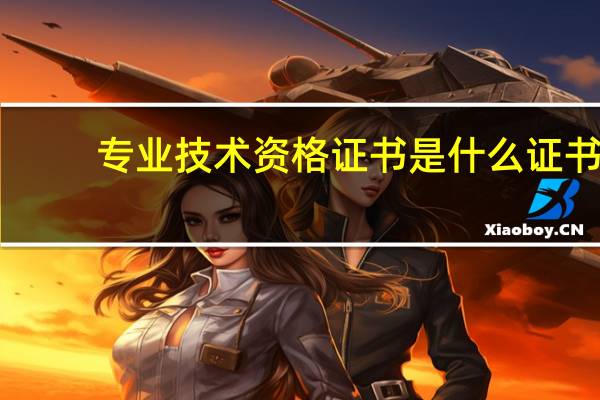 专业技术资格证书是什么证书
