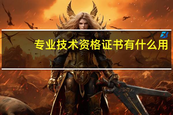 专业技术资格证书有什么用