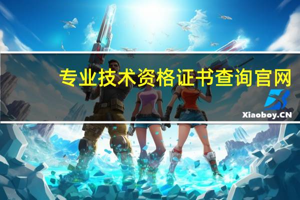专业技术资格证书查询官网（专业技术资格）