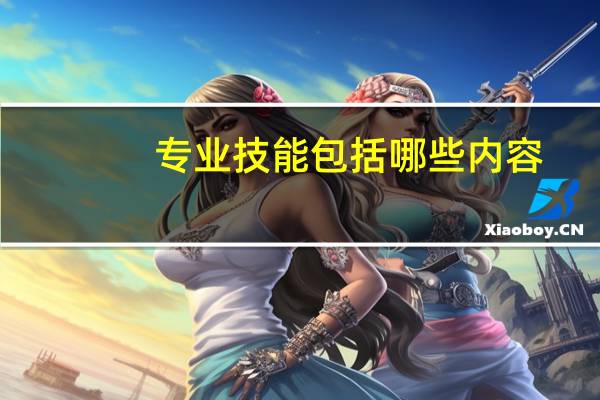 专业技能包括哪些内容