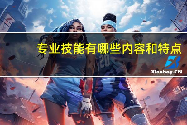 专业技能有哪些内容和特点