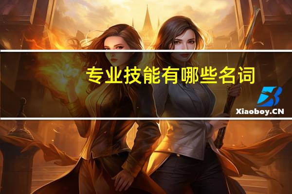 专业技能有哪些 名词
