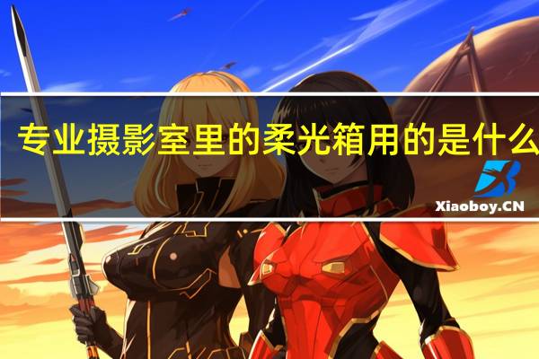 专业摄影室里的柔光箱用的是什么灯泡