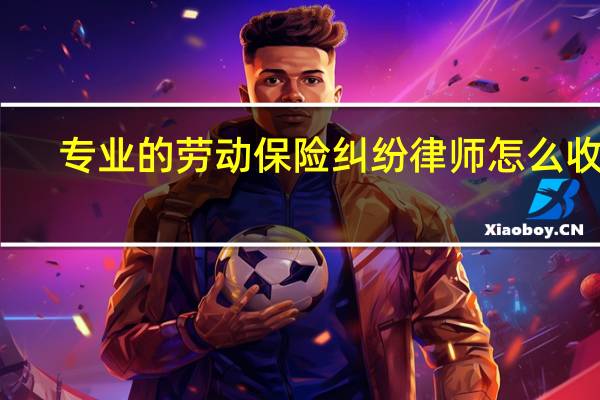 专业的劳动保险纠纷律师怎么收费