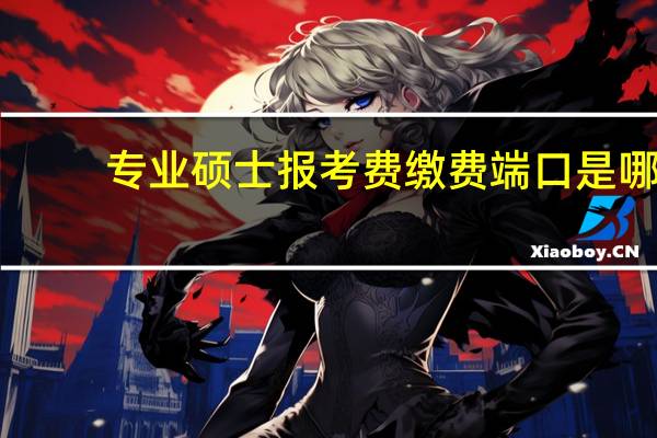 专业硕士报考费缴费端口是哪