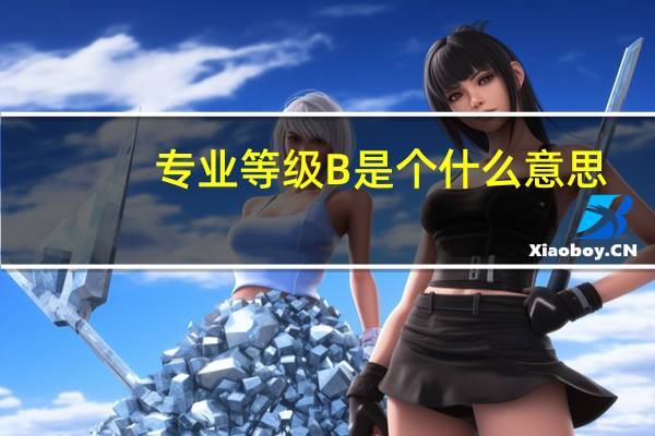 专业等级B是个什么意思