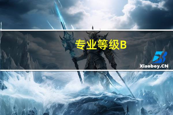专业等级B-是什么意思