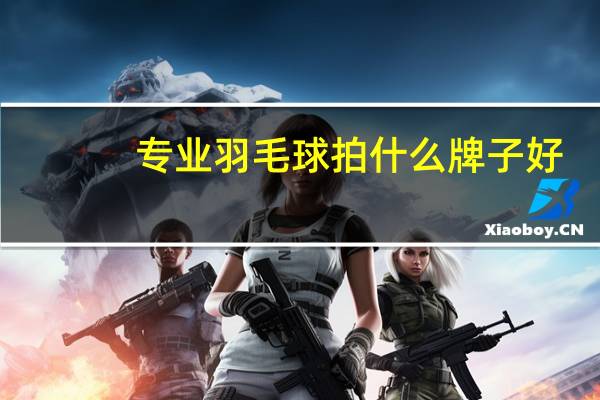 专业羽毛球拍什么牌子好