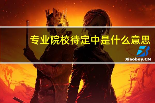 专业院校待定中是什么意思