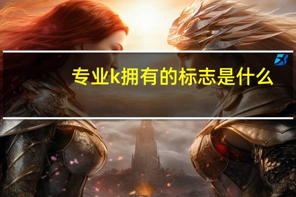 专业k拥有的标志是什么