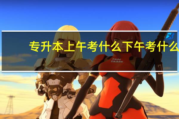 专升本上午考什么下午考什么