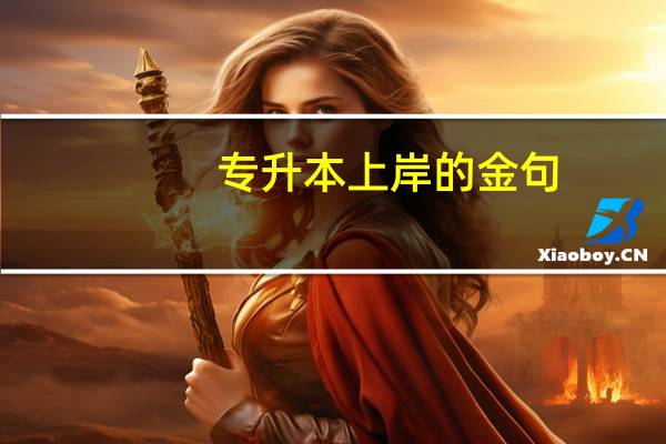 专升本上岸的金句