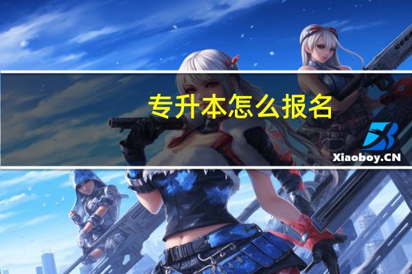 专升本怎么报名