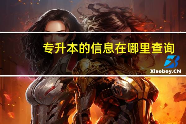 专升本的信息在哪里查询