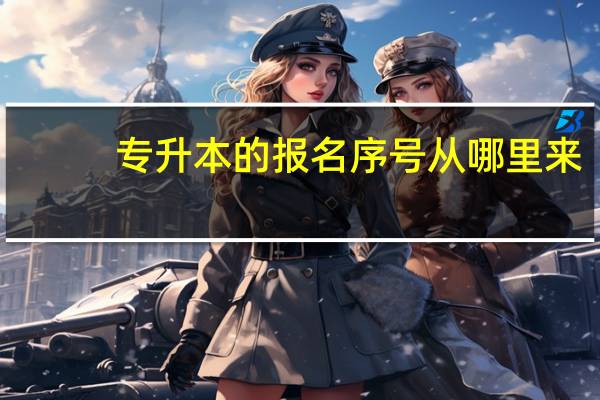 专升本的报名序号从哪里来