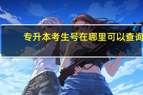 专升本考生号在哪里可以查询