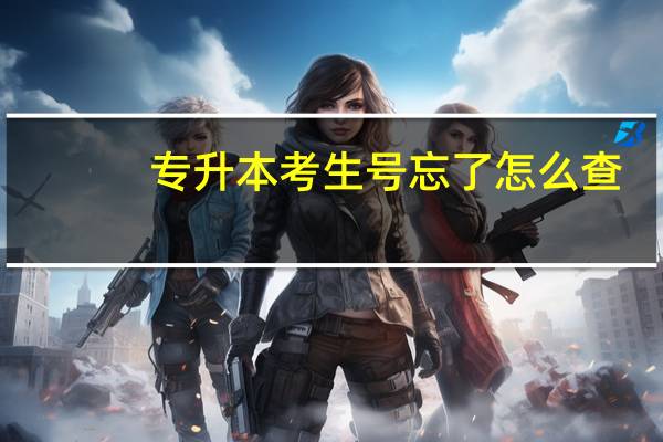 专升本考生号忘了怎么查