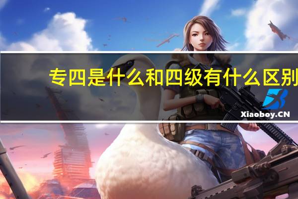 专四是什么和四级有什么区别
