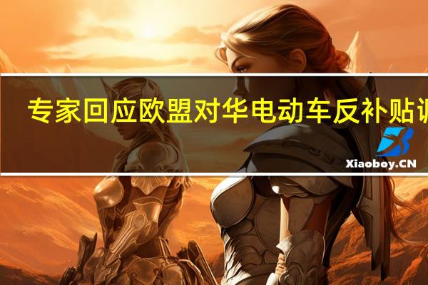专家回应欧盟对华电动车反补贴调查：压力之下中国电动汽车行业可能会越来越强
