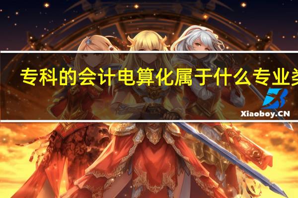 专科的会计电算化属于什么专业类别