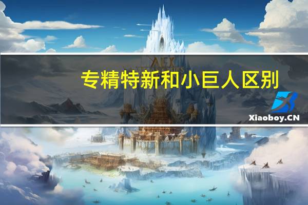 专精特新和小巨人区别