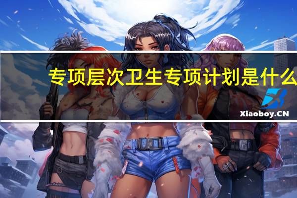 专项层次卫生专项计划是什么