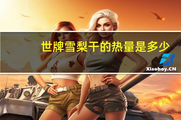 世牌雪梨干的热量是多少