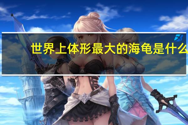 世界上体形最大的海龟是什么(了解体型最大的海龟)