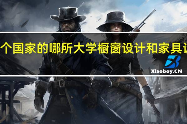 世界上哪个国家的哪所大学橱窗设计和家具设计系比较有名