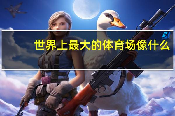 世界上最大的体育场像什么