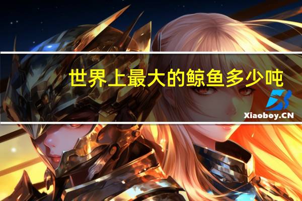 世界上最大的鲸鱼多少吨,金鱼一般多少吨 世界最大金鱼被钓上岸