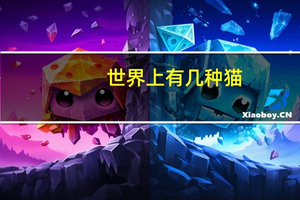 世界上有几种猫