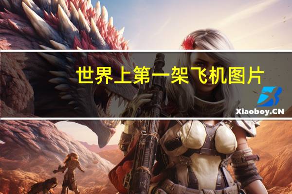 世界上第一架飞机图片（世界上第一架飞机）