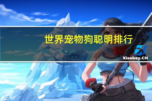 世界宠物狗聪明排行