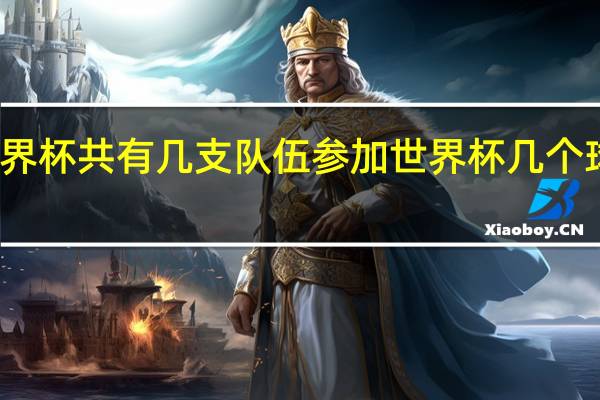 世界杯共有几支队伍参加 世界杯几个球队参加