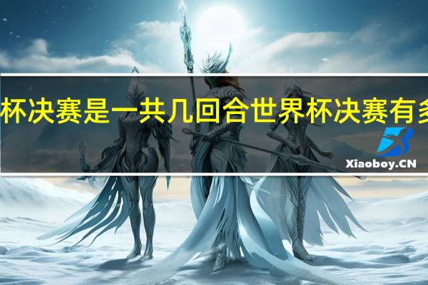 世界杯决赛是一共几回合 世界杯决赛有多少人观看
