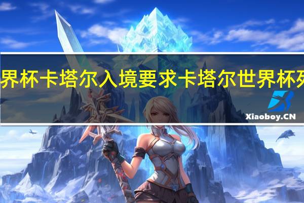世界杯卡塔尔入境要求 卡塔尔世界杯死亡小组
