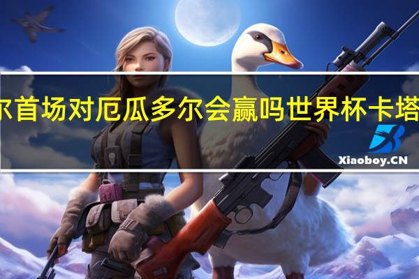 世界杯卡塔尔首场对厄瓜多尔会赢吗 世界杯卡塔尔vs厄瓜多尔预测