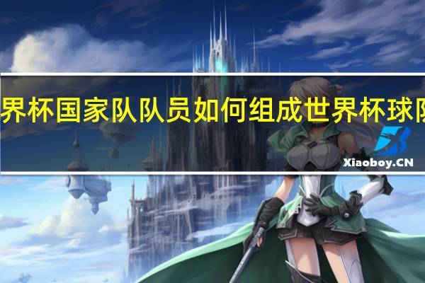 世界杯国家队队员如何组成 世界杯球队有哪些
