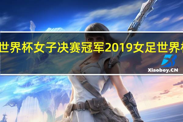 世界杯女子决赛冠军 2019女足世界杯冠军