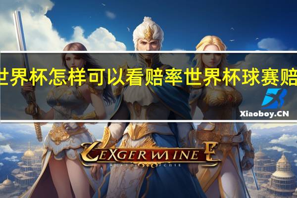 世界杯怎样可以看赔率 世界杯球赛赔付比例