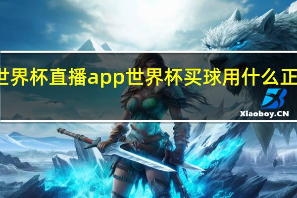 世界杯直播app 世界杯买球用什么正规app