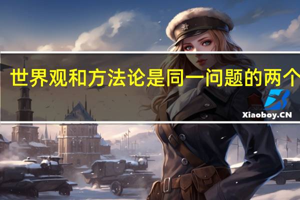 世界观和方法论是同一问题的两个方面（世界观和方法论）