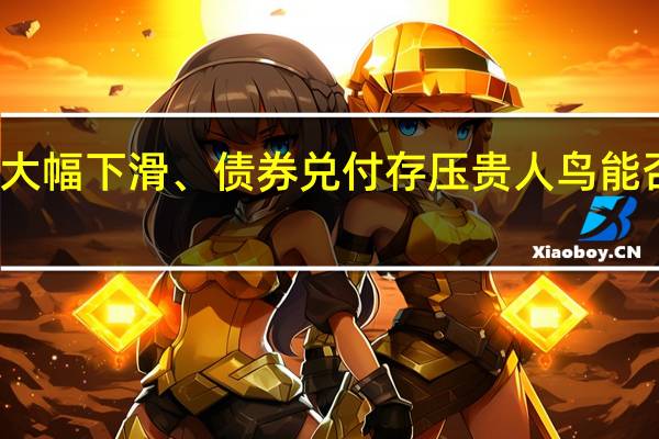 业绩大幅下滑、债券兑付存压 贵人鸟能否逆境突围