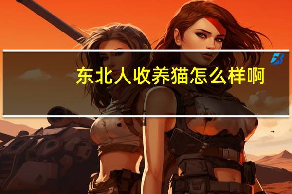 东北人收养猫怎么样啊