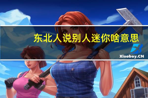 东北人说别人迷你啥意思