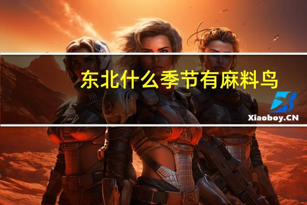 东北什么季节有麻料鸟